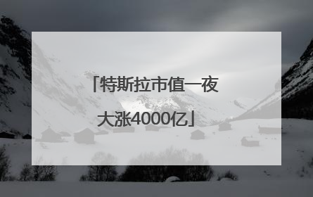 特斯拉市值一夜大涨4000亿